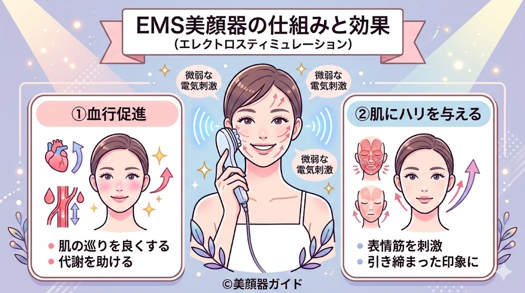 TALIKAparisタイムコントロールプラス-レビュー-EMSの仕組み