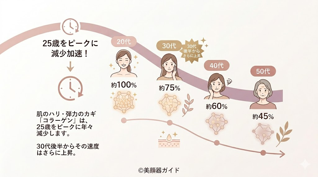 カレントボディ-セール時期-肌のコラーゲン残存量目安